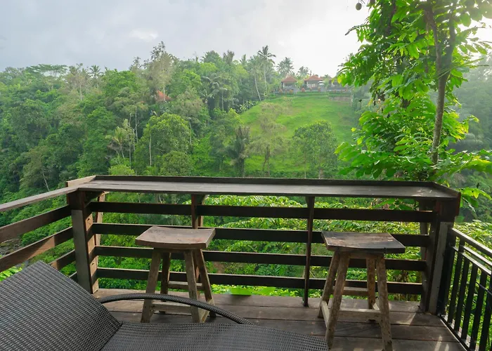 Paras Guest house