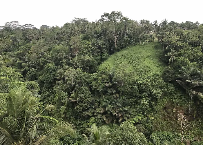 Guest house Paras Ubud (Bali)