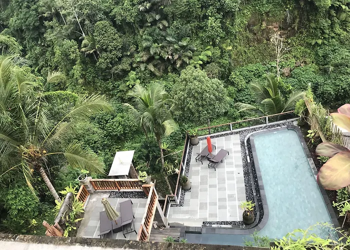 Guest house Paras 4*