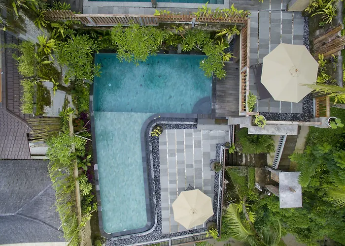Guest house Paras 4*