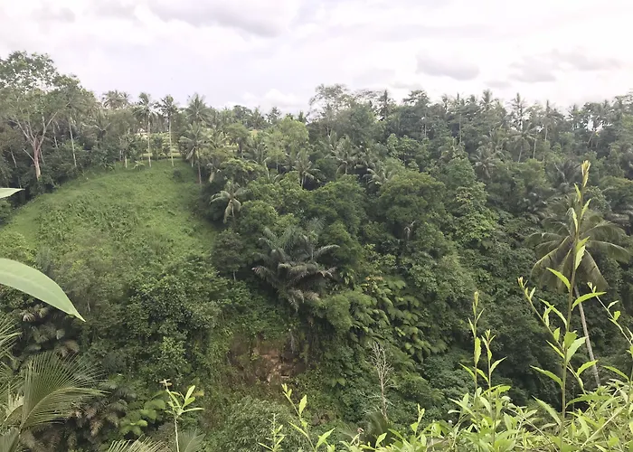 Paras Guest house Ubud (Bali)