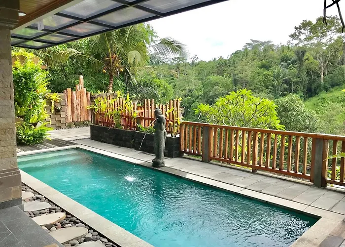 Guest house Paras 4*