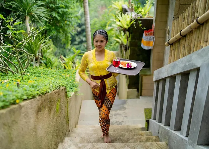 Guest house Paras 4*